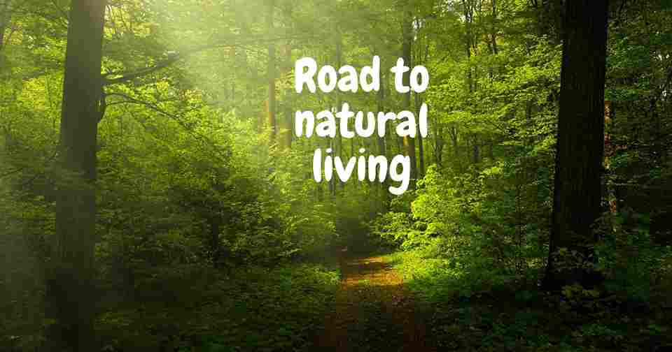 What Does It Mean To Live The Good Life? Or Natural Living { 5 simple habits }