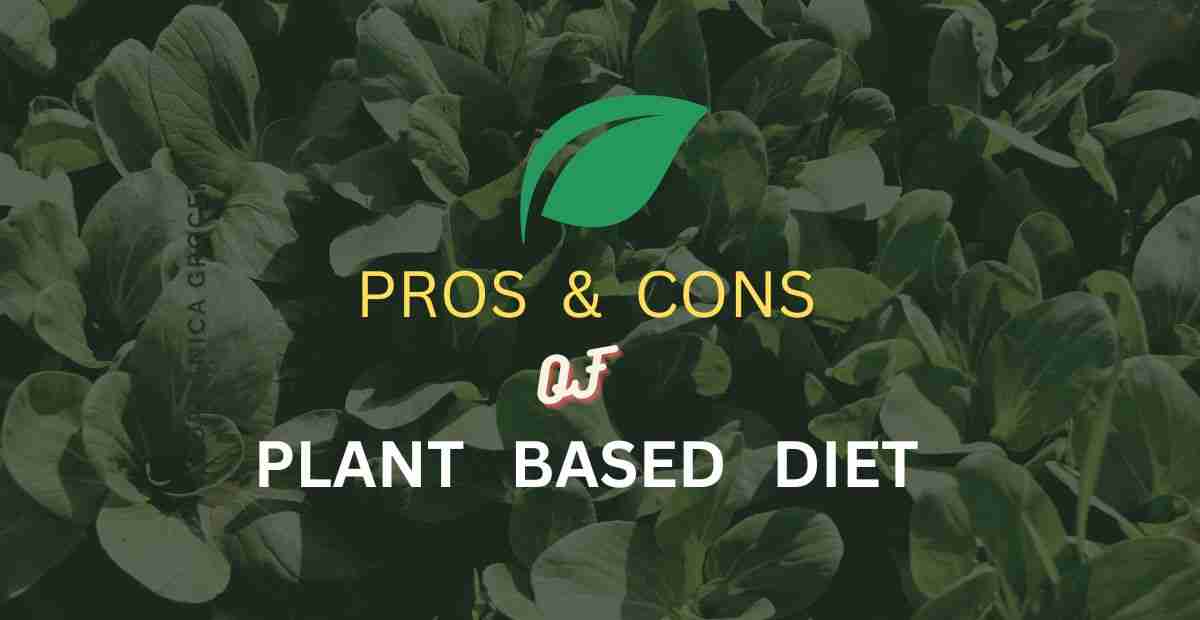 Pros And Cons Of A Plant Based Diet Holistic Canvas 3090