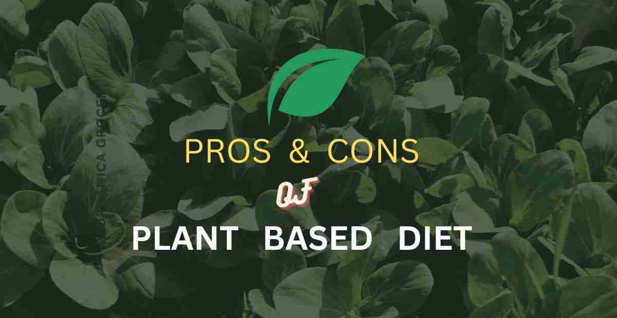 Pros And Cons of a Plant-Based Diet