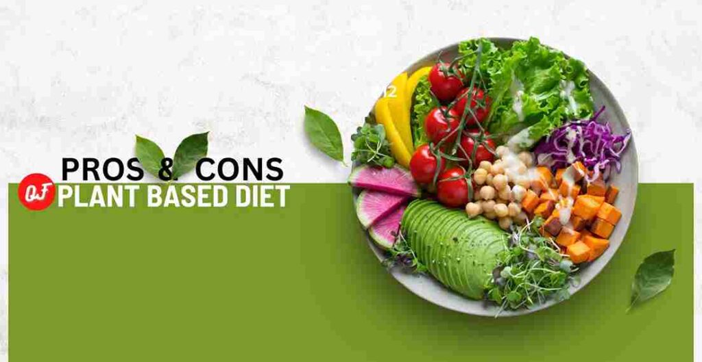 Pros And Cons Of A Plant Based Diet Holistic Canvas 3967