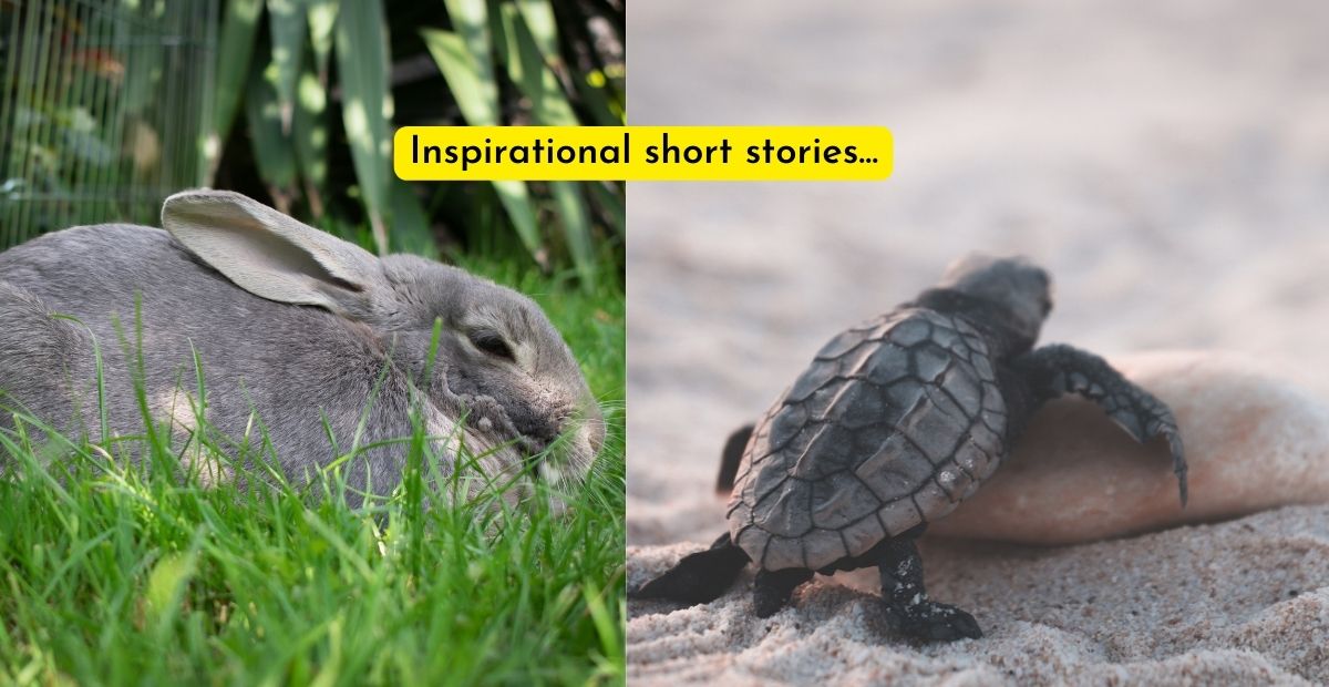 Inspirational Short Stories With Modern Case Studies